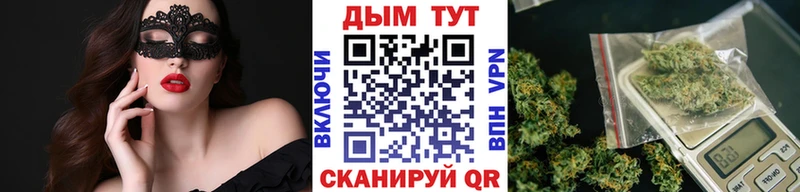 Купить закладки  Пошехонье  Каннабис семена 
